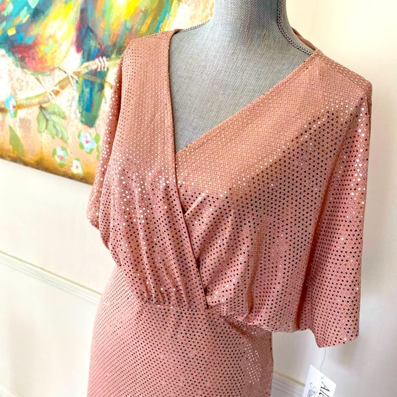 ALEX B NITES WOMAN ROSE GOLD SEQUIN  FORMAL DRESS PLUS SIZE 20W 🌟NWT🌟 - Picture 2 of 14
